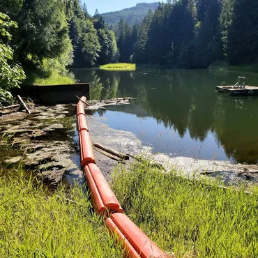 Orange floating pipeline on a forested reservoir during cleanout